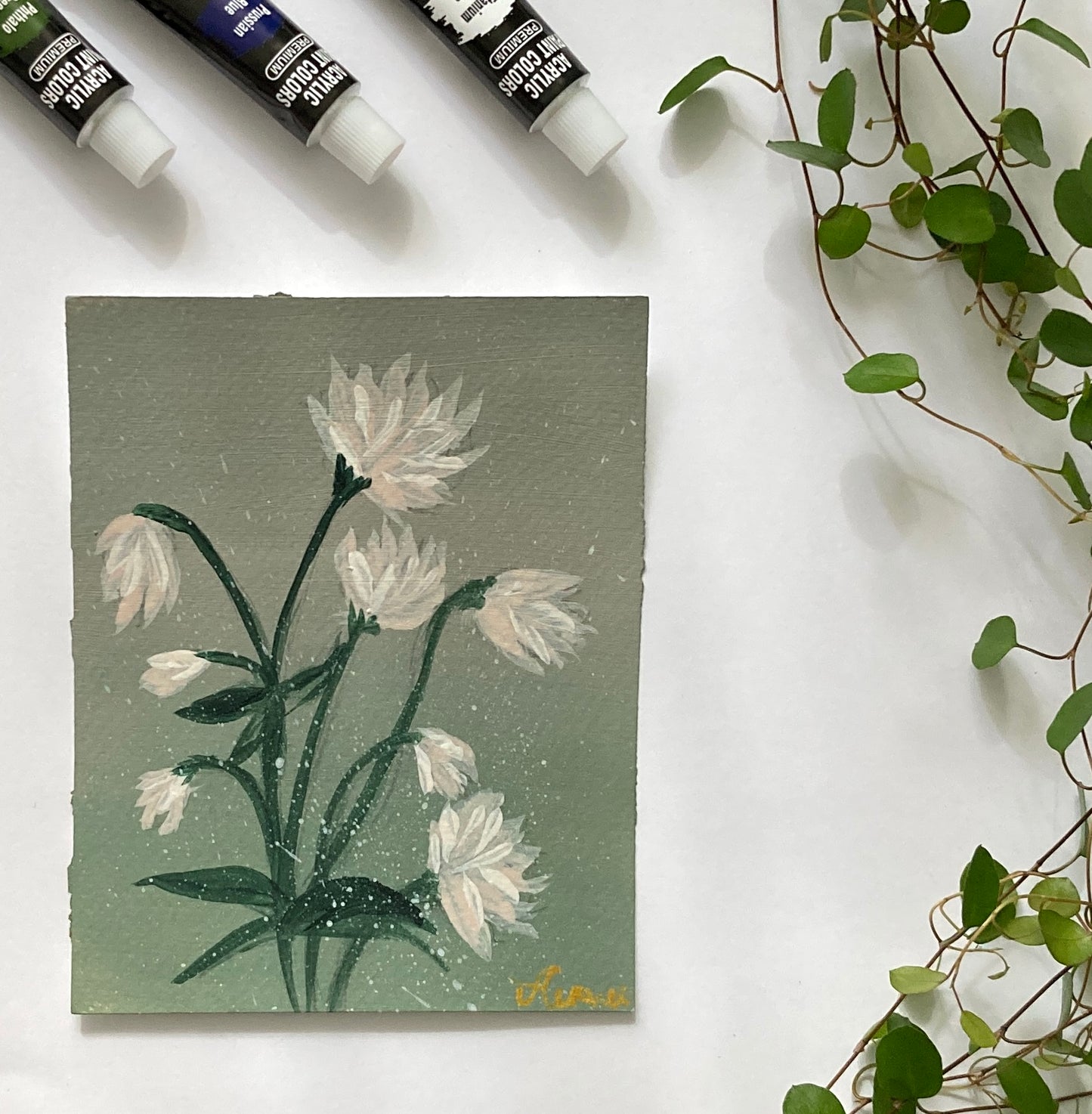 White flowers on light green