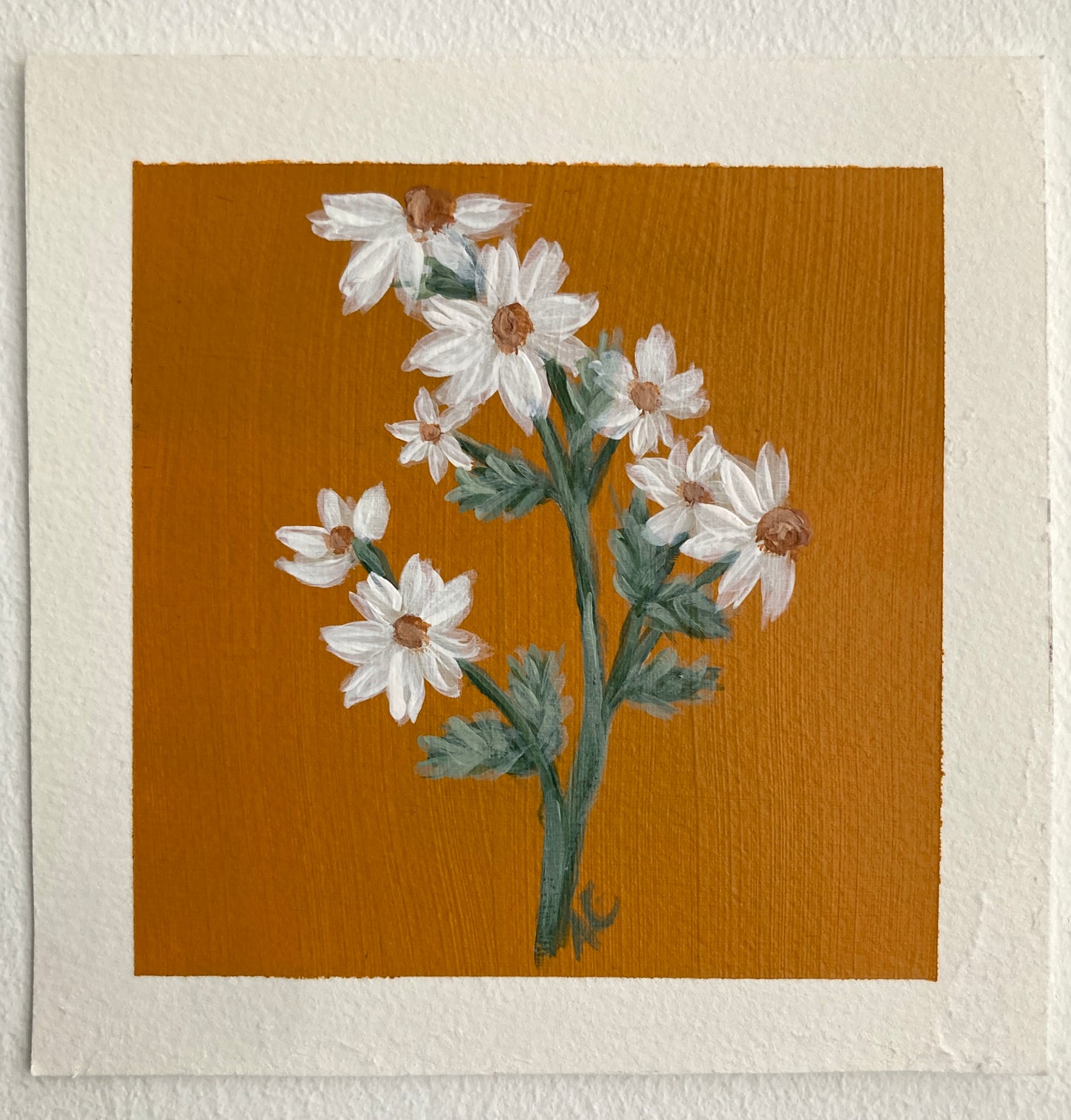 Daisies - set of tree