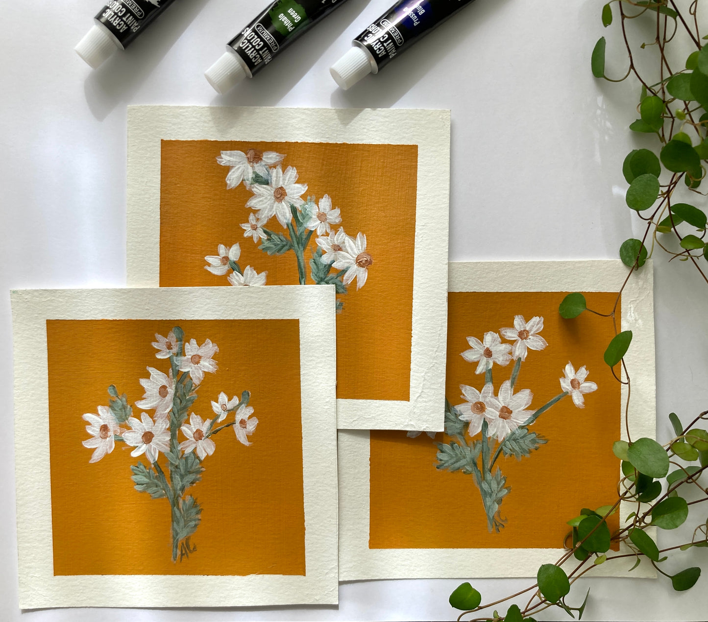 Daisies - set of tree